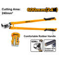 HCCB0124