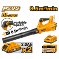 CABLI204282