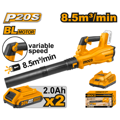 CABLI204282