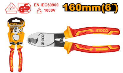 HICCB28160