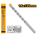 DBM111142