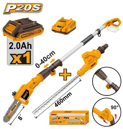 CPTS201681