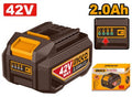 FBLI42201