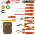 HKIST3091