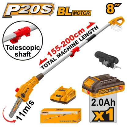 PSLI20281