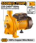CPM55068