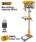 DP207505